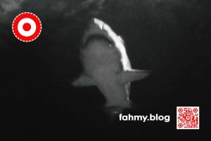 Das Schwarz-Weiss Foto (B/W) zeigt einen großen Hai von unten über den Betrachter bzw. die Betrachterin hinweigschwimmen. Das Foto wurde im großen Seeaquarium in Valencia, Spanien, gemacht. Das rot-weiß-rote Logo von fahmy.blog ist in der linken oberen Ecke, der QR-Code und Bildunterschrift von fahmy.blog ist in der rechten Ecke zu sehen.