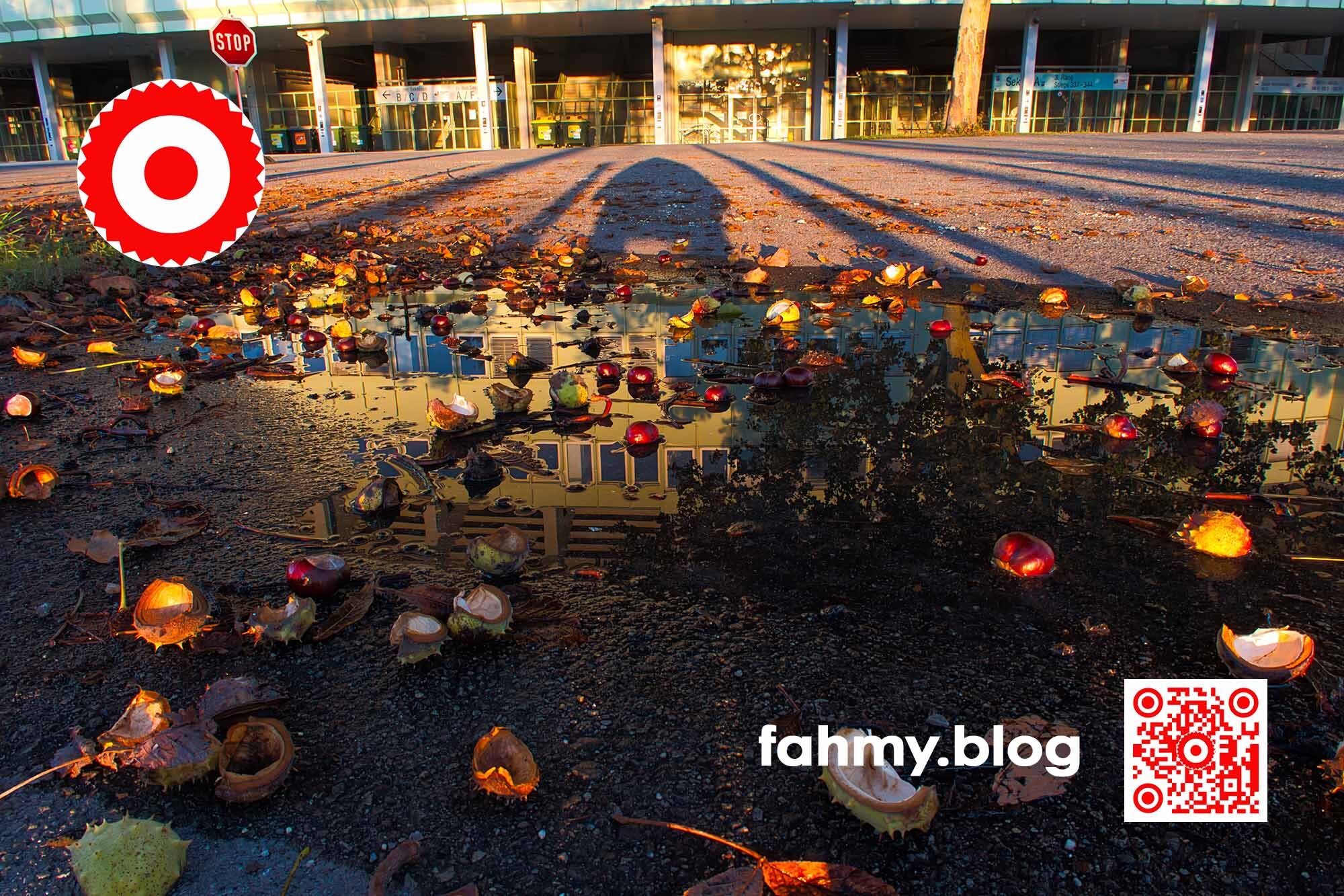 Herbstspaziergang (c) 2024 fahmy.blog Das rot-weiß-rote Logo von fahmy.blog ist in der linken oberen Ecke, der QR-Code und Bildunterschrift von fahmy.blog ist in der rechten Ecke zu sehen.